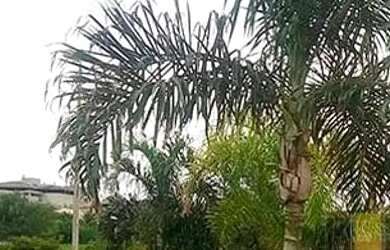 Imagem 6: Casa a venda condomínio Residencial Gaivota II