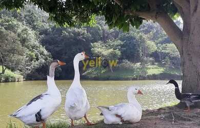 Imagem 5: Casa em Condomínio Fechado em Condomínio Hills III - Arujá, SP