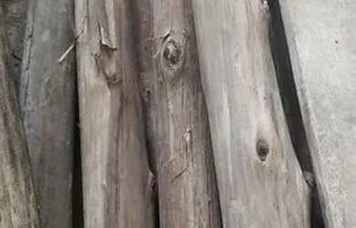 Imagem: O depósito está localizado em Sitio Paecara, Guarujá à venda