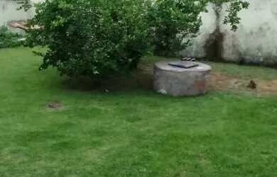 Imagem 7: Vendo Casa 3Qts - Itaboraí