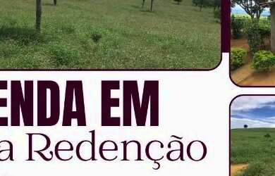 Imagem: A fazenda está localizado em Nova Redenção, BA à venda por