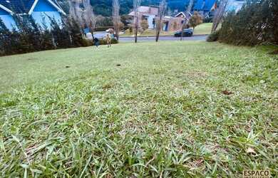 Imagem 4: Terreno em Condomínio Alphaville