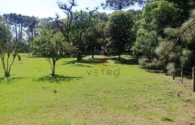 Imagem 3: Terreno à Venda em Canela