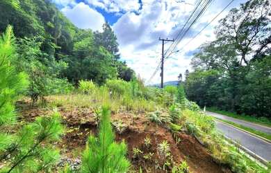 Imagem 4: Terreno para Venda em Nova Petrópolis, Linha Imperial