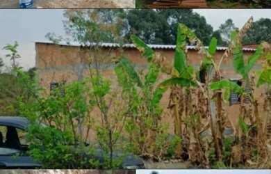 Imagem: A casa em condomínio possui 2 Dormitórios, 1 Banheiro, 220m²