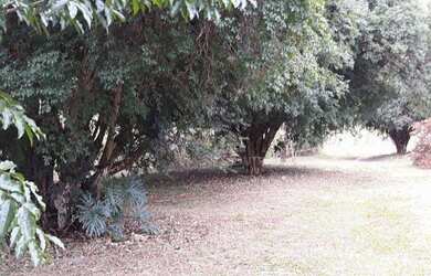 Imagem 13: Sítio à venda, 96359 m² por R$ 1.200.000,00 - Centro - Mombuca/SP