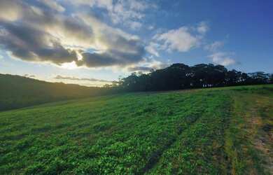 Imagem 4: Lote/Terreno para venda com 500 metros quadrados em Veloso - Osasco -...
