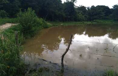 Imagem: A fazenda à venda possui e está localizado em Florestal