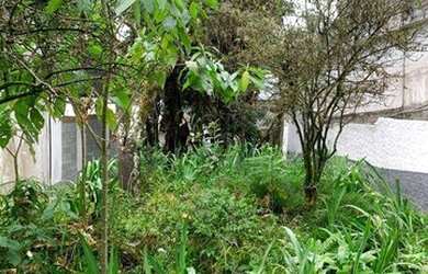 Imagem 4: Terreno à venda, 336 m² por R$ 530.000 - Ferreira - São Paulo/SP