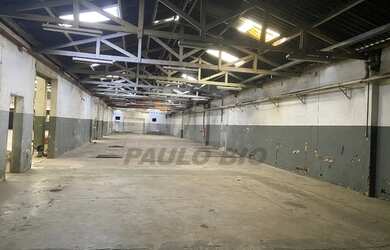 Imagem 5: SAO PAULO - Galpão/Depósito/Armazém - Vila Leopoldina