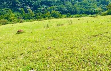 Imagem 2: R05- Terreno para venda possui 500 metros quadrados em - Atibaia - SP