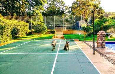 Imagem 12: 3 casas em área de 15.000 metros