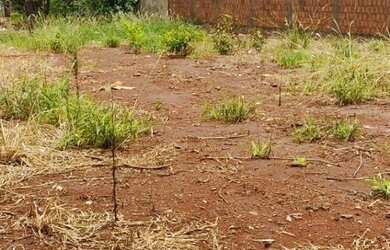 Imagem: O terreno possui 360m² de Área e está localizado em Vila