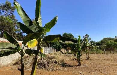 Imagem 6: Vendo lindo sítio em Iranduba