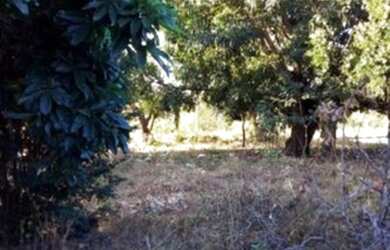 Imagem 5: Lote. 482m² de Área