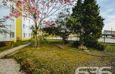 Imagem 10: Apartamento | Joinville