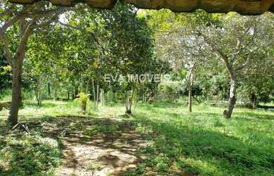 Imagem 4: ABADIA DE GOIAS - Chácara - QUINTA DA BOA VISTA