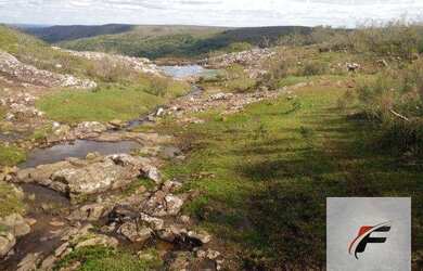 Imagem 12: Fazenda à venda, 1180000 m² por R$ 1.770.000 - Prado - Santana do Livramento/RS