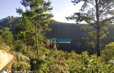 Imagem 3: Área à venda, 605000 m² por R$ 450.000,00 - Zona Rural - Itaperuçu/PR