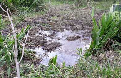 Imagem 3: Sítio à venda, 646900 m² por R$ 32.345.000,00 - Varejão - Itu/SP