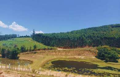 Imagem 16: Lote/Terreno para venda com 600 metros quadrados em Jardim do Sul - Bragança Paulista - SP