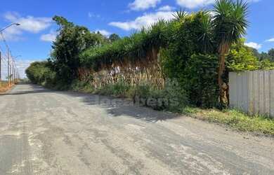 Imagem 11: São José do Rio Preto - Terreno Padrão - Estância Santa Inês Zona...