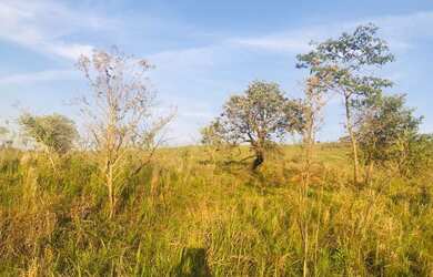Imagem 12: Lote/Terreno para venda tem 1000 metros quadrados em Jardim Recreio -...