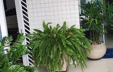 Imagem: O apartamento à venda possui 3 Dormitórios, 3 Banheiros, 2