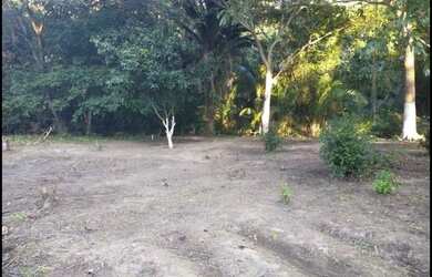 Imagem: A chácara possui 1560m² de Área e está localizado em Ouro