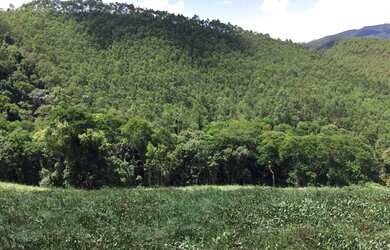 Imagem 2: Terrenos em Piracaia de 1000m²