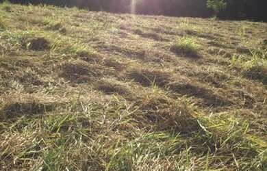 Imagem 9: Lote/Terreno para venda com 1000 metros quadrados em Jardim Recreio -...