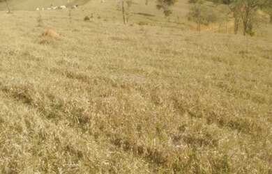 Imagem 14: Lote/Terreno para venda possui 1000 metros quadrados em Vitória Régia...