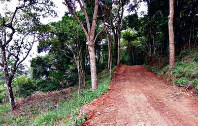 Imagem 6: VENDO TERRENO 1000M² NA BEIRA DO ASFALTO! BAIRRO ATIBAINHA( PIRACAIA