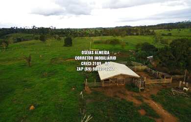Imagem: A fazenda e está localizado em Machadinho D'oeste, RO à venda