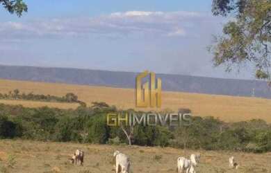Imagem 5: Fazenda com 1 dormitório à venda, 4010000 m² por R$ 8.000.000,00 -...
