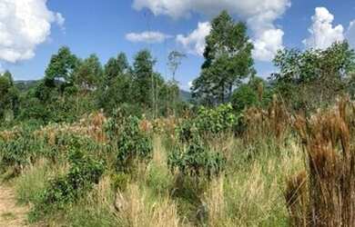 Imagem 13: Terreno com luz individual