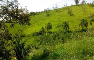 Imagem 5: Lote/Terreno para venda com 1000 metros quadrados em Jardim Recreio -...