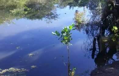 Imagem: O terreno e possui Dormitórios, Suítes, Banheiros, 2250-0m²