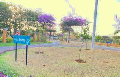 Imagem 5: Condomínio fechado chácara alto da Boa Vista senador Canedo