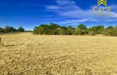 Imagem: O terreno possui 1.000m² de Área e está localizado em Águas