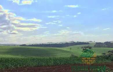 Imagem: Chácara à venda 1 Quarto, 774400M², Vila Ipiranga, Londrina