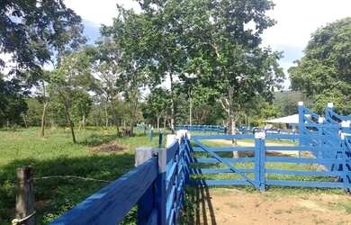 Imagem 11: Fazenda Minas Gerais Buritis