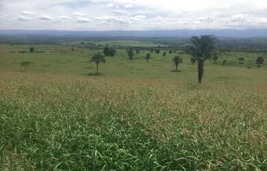 Imagem 9: FAZENDA EM NOVA REDENÇÃO - 1400 TAREFAS