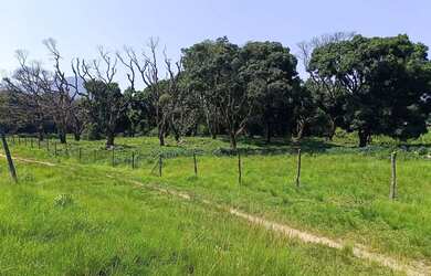 Imagem 16: Área de 75 mil m2 á venda na Ilha de Guaratiba - Rio de Janeiro - RJ