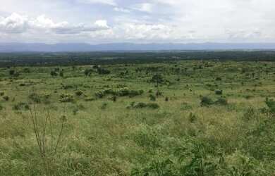 Imagem 4: FAZENDA EM NOVA REDENÇÃO - 1400 TAREFAS