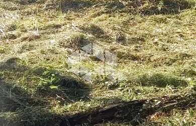 Imagem: O terreno possui 811m² de Área e está localizado em Nova