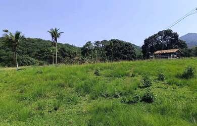 Imagem 4: Área de 75 mil m2 á venda na Ilha de Guaratiba - Rio de Janeiro - RJ