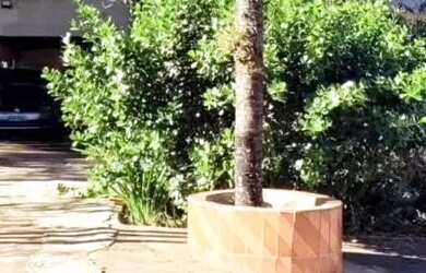 Imagem: A fazenda possui 4000-0m² de Área e está localizado em Anápolis