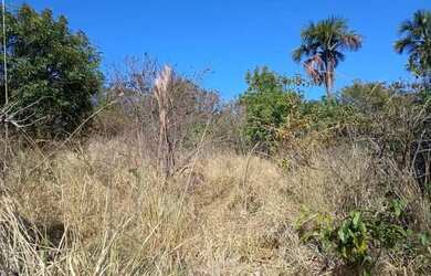 Imagem: A fazenda possui 192m² de Área e está localizado em Camargo
