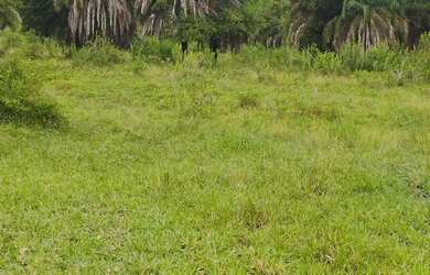 Imagem 3: Fazenda a venda no município de Sanclerlândia GO